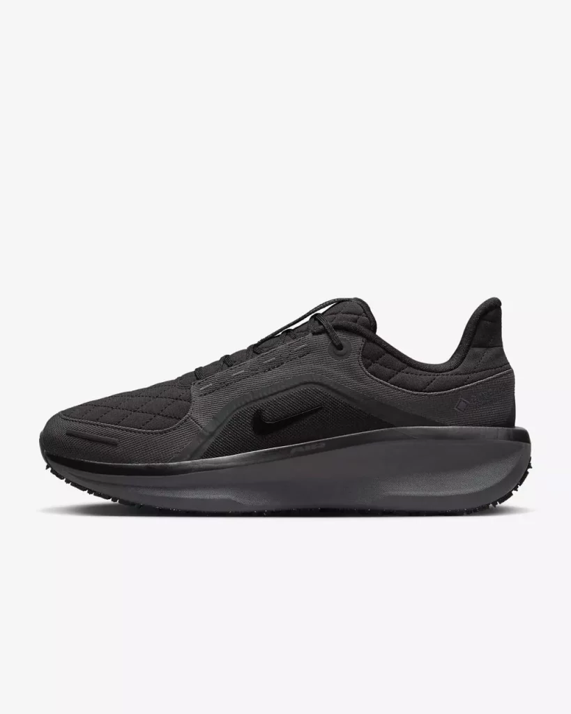 Кросівки Nike Winflo 11 Gore-Tex
