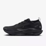 Кросівки Nike Pegasus Trail 5 Gore-Tex