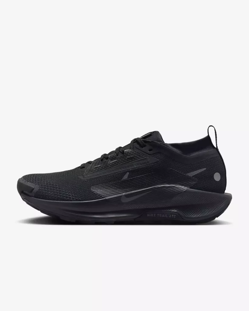 Кросівки Nike Pegasus Trail 5 Gore-Tex