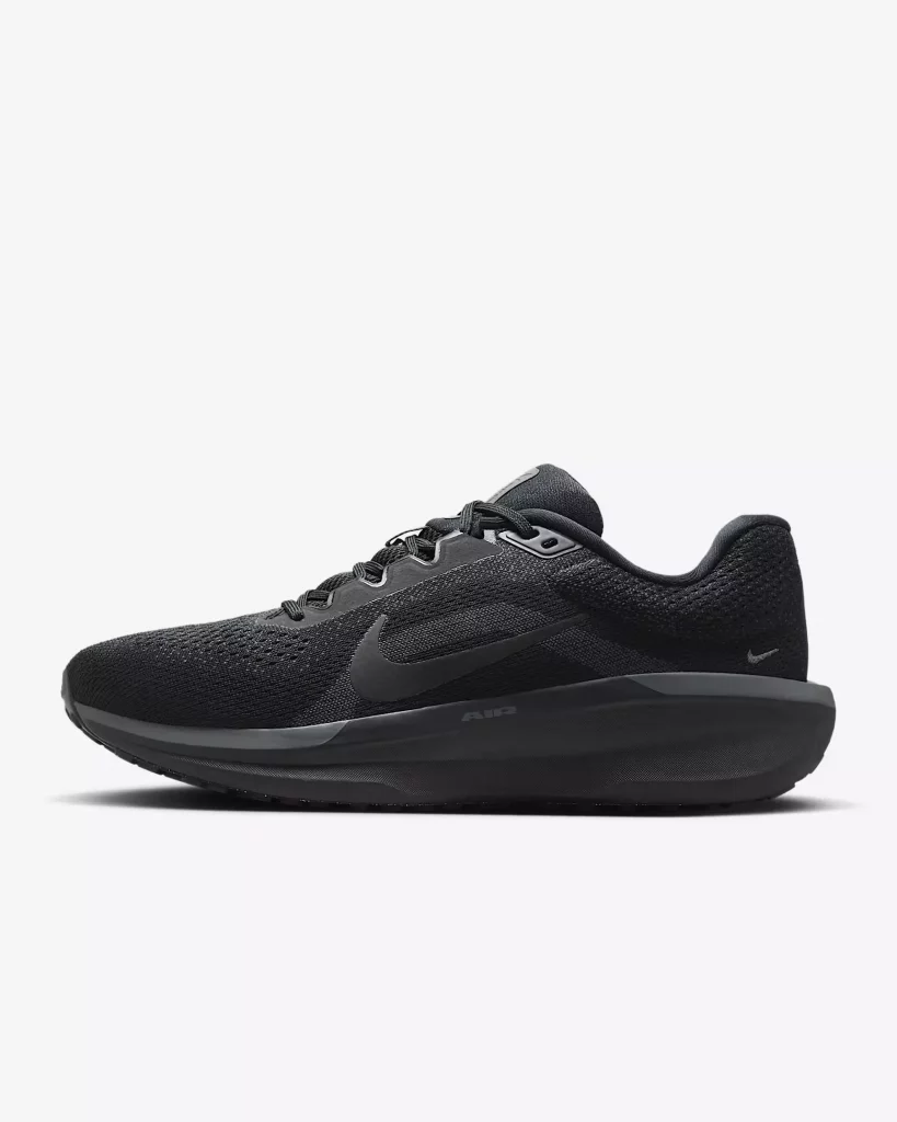 Кросівки Nike Air Winflo 11