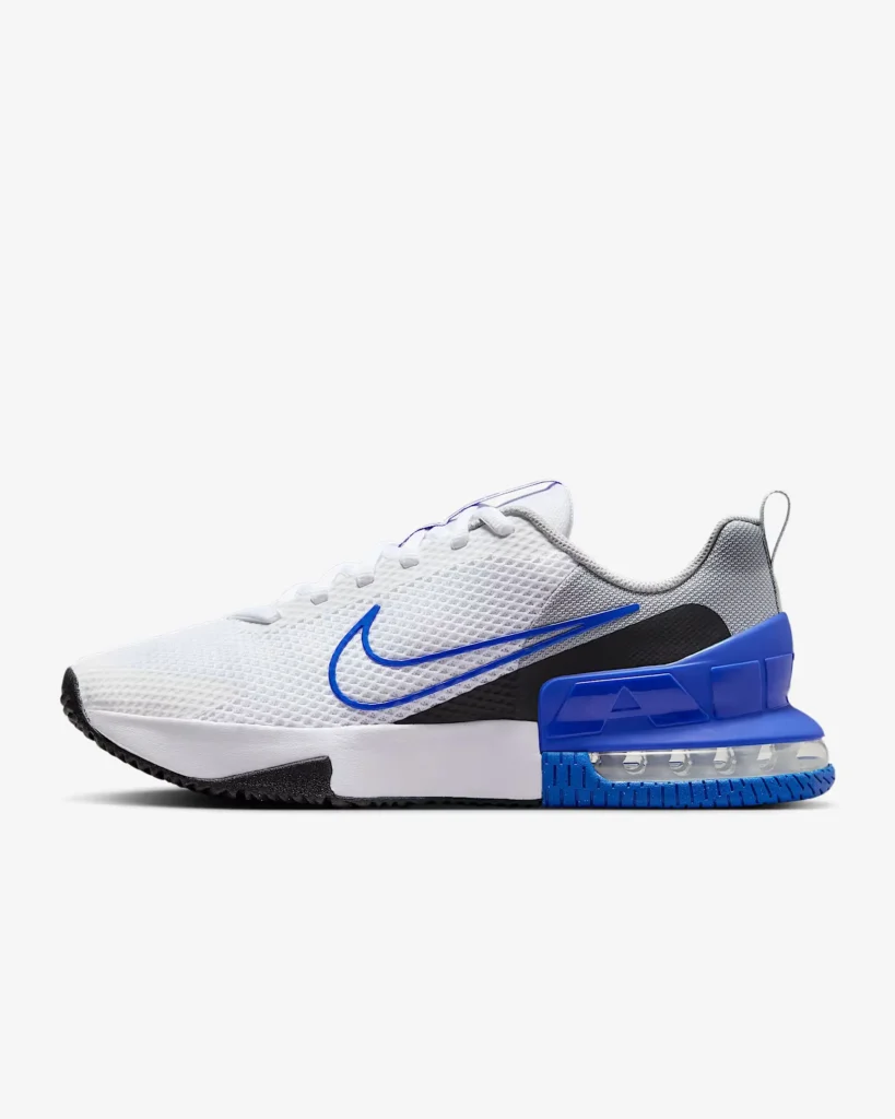 Кросівки Nike Air Max Alpha Trainer 6
